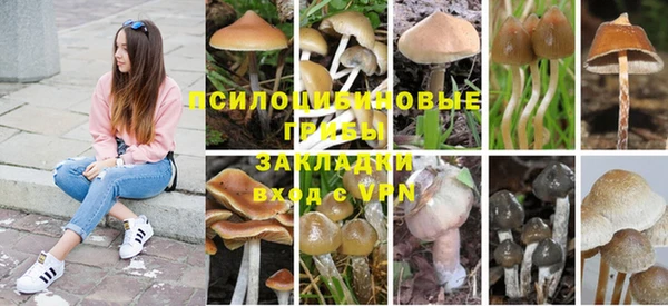 мескалин Краснослободск